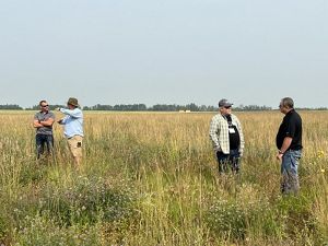 Four people standing in a agricultural field.