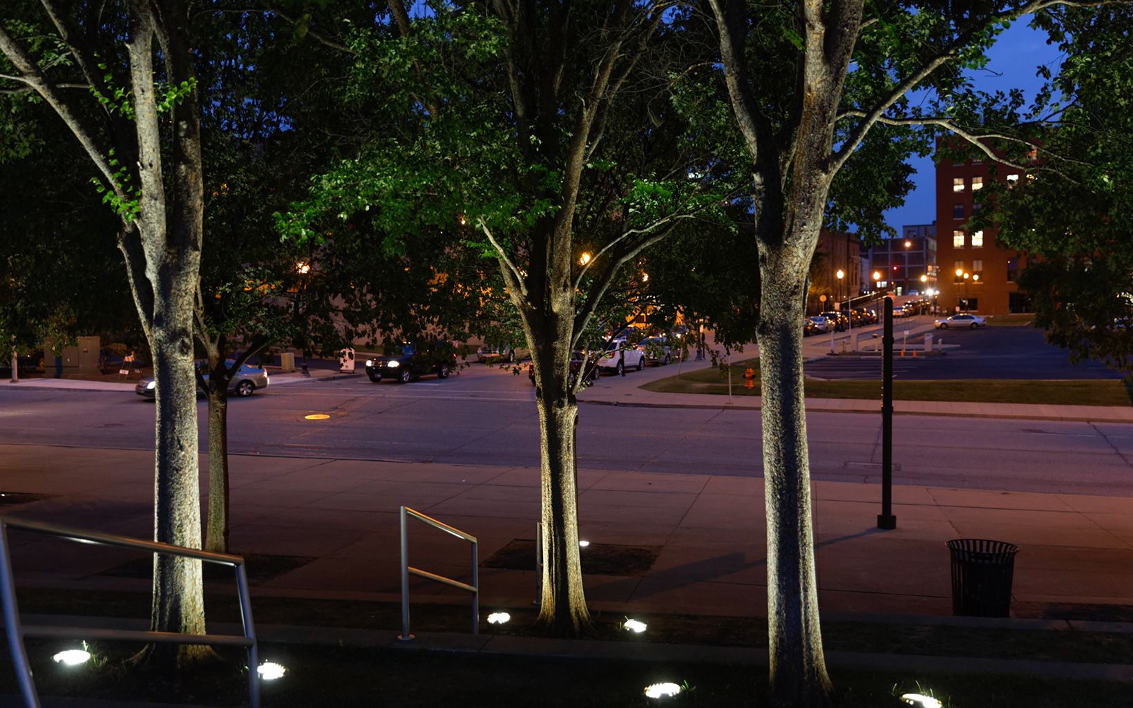 Trees near Waterfront Park in downtown Louisville. Urban street trees can filter about a third of the fine particle pollution in their immediate vicinity. 