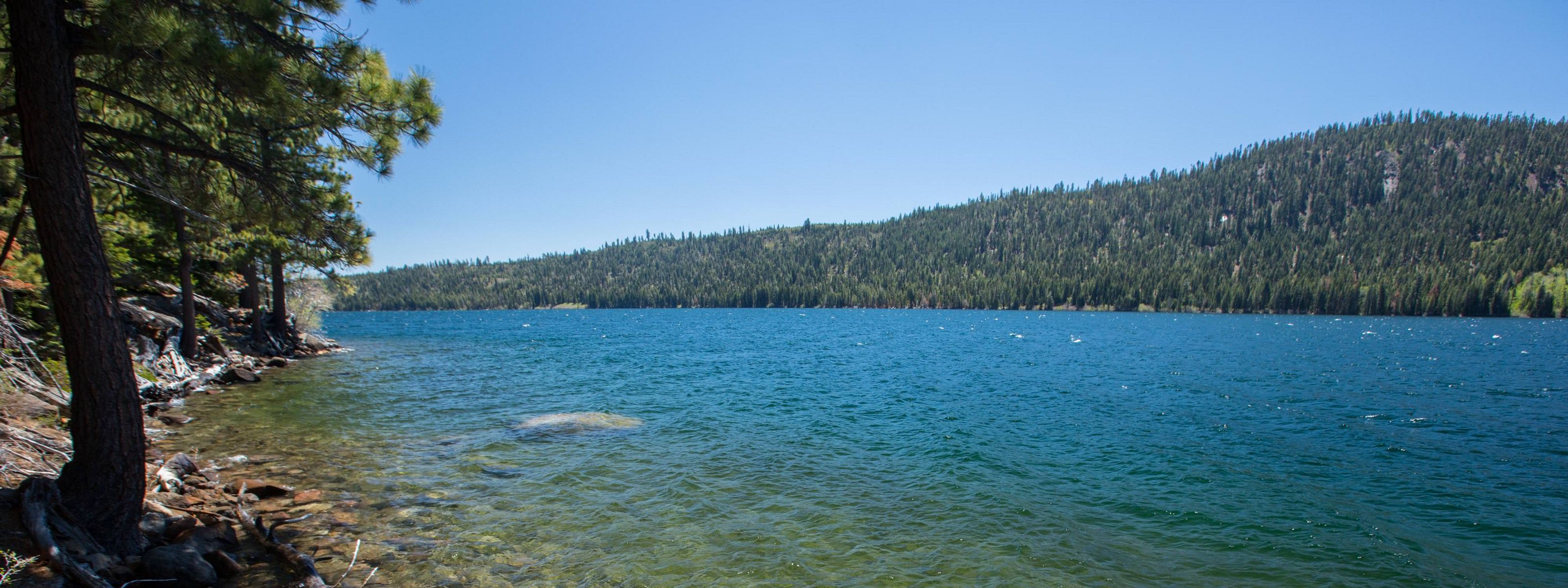 Blue and green lake with trees along the shoreline.