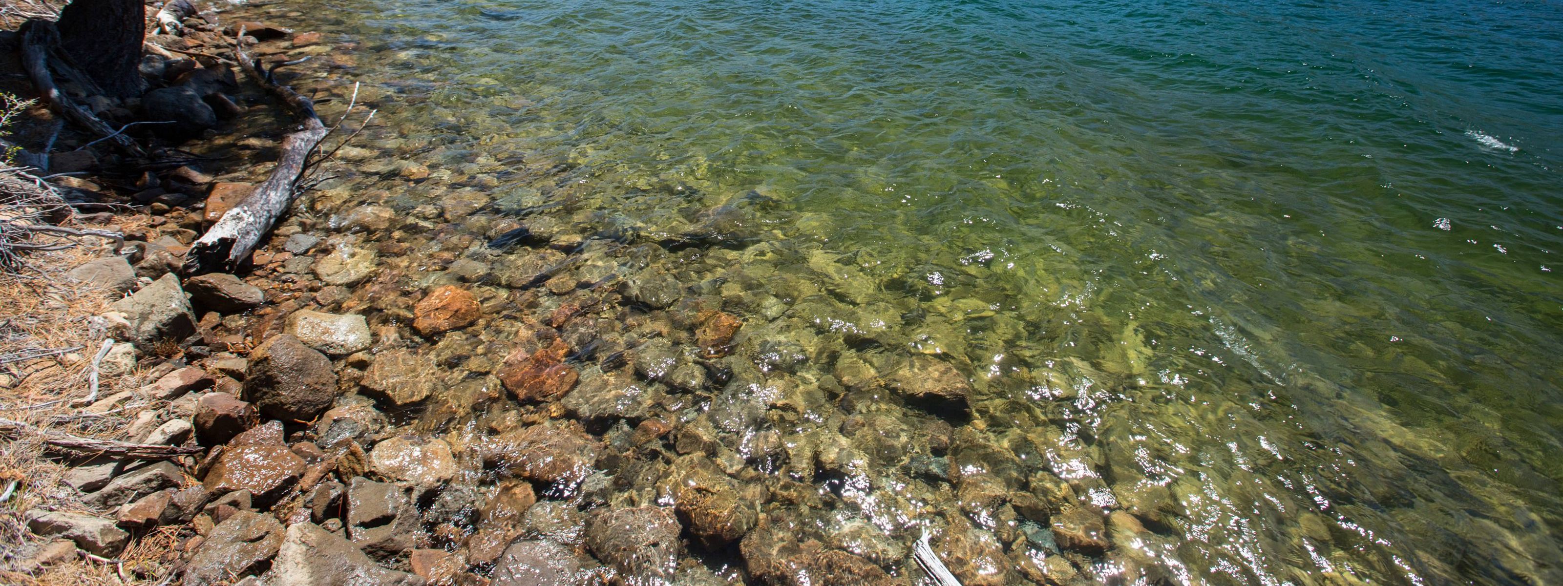 Close view of clear water and rocky shore at Independence Lake Preserve.