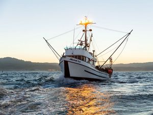 The Moriah Lee out of Morro Bay, California, is one of the vessels participating in the California Groundfish Collective, experimenting with electronic monitoring systems.