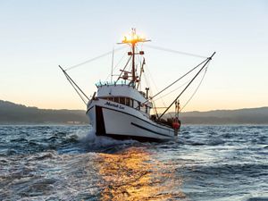 Fishing vessel called Moriah Lee in California's Morro Bay. 