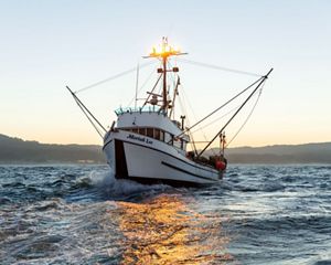 Fishing vessel called Moriah Lee in California's Morro Bay.