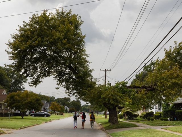 Louisville, Kentucky, on the corner of Schneider and Southgate. Homeowners do their best to keep large trees alive, but the challenges are many. 