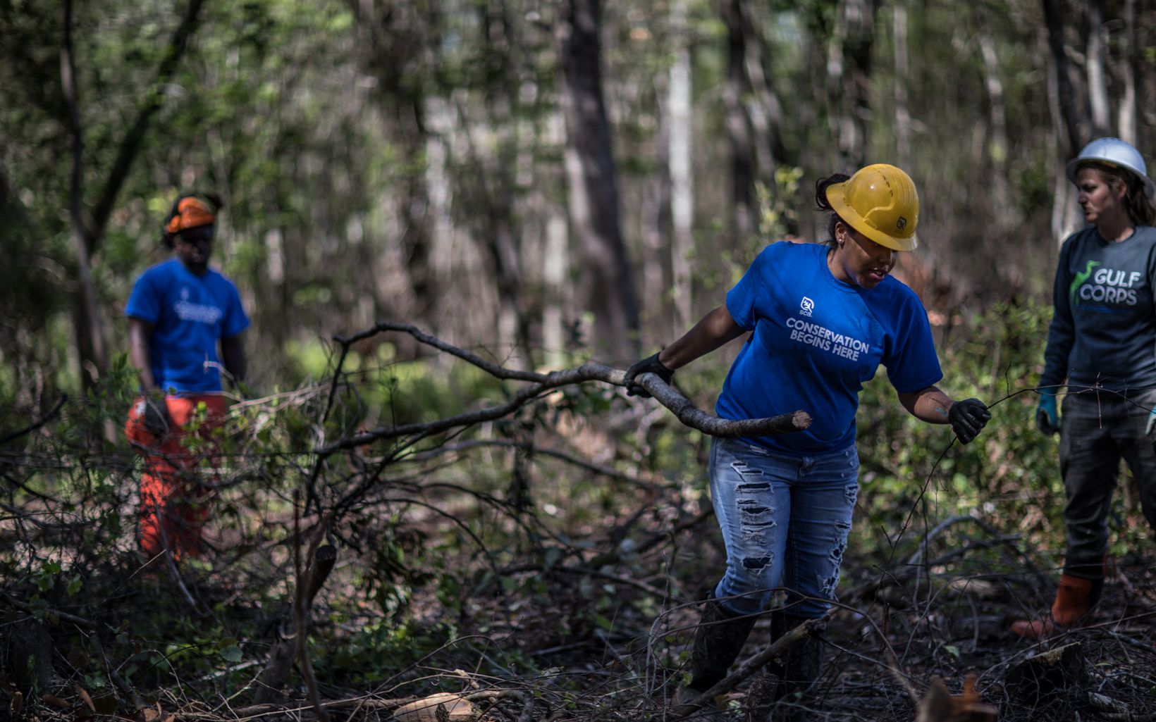 
                
                  Summerdale, Alabama Members of the Conservation Corps clear brush within a forested area to prepare for a control burn that will bring new life to this forest.
                  © John Stanmeyer
                
              