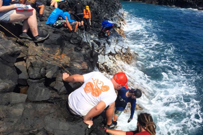 A group of people are gathered on a low rock ledge above a blue ocean. Waves crash on the rocks. Green mountains rise from the water in the background.