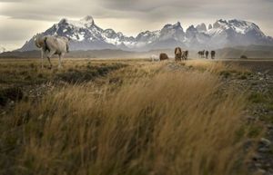 Torres del Paine National Park