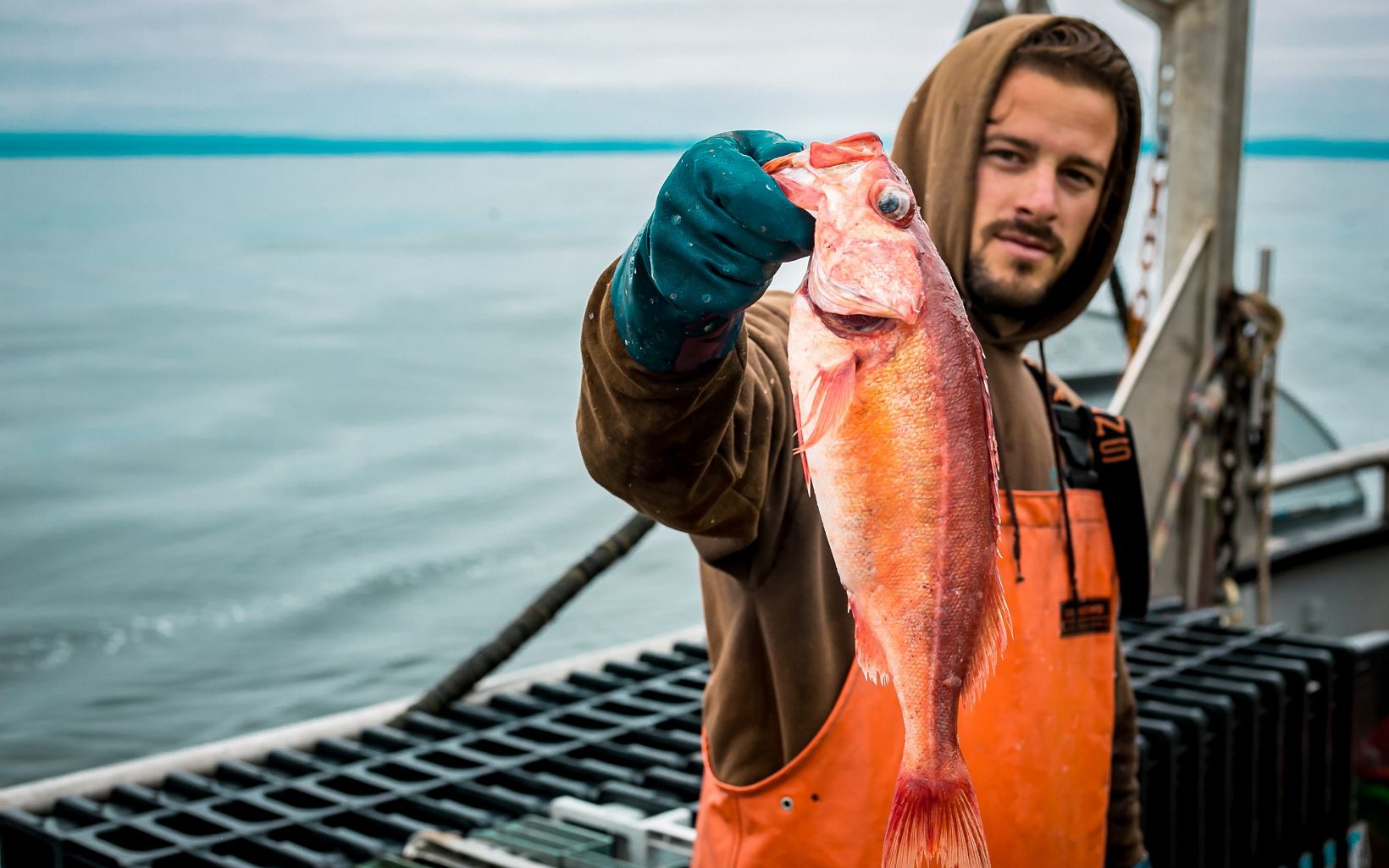 California Fisheries Local Fisherman holding a rockfish off California coast. © Ethan Righter