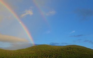A rainbow covers a daytime moon as it arcs into a forested mountain ridge after a storm.