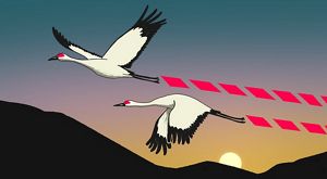 Illustration of two cranes in flight with stylized graphics marking their flight path. In the background, the sun sets behind a mountain.
