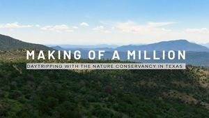 A logo for the new Daytripping with The Nature Conservancy in Texas on a background of mountains.