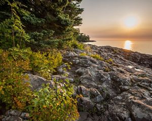 Dense forest along rocky shoreline with sun setting over a calm lake.