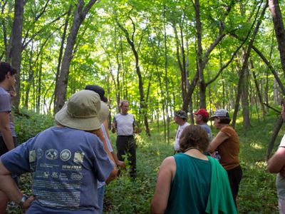 Hikers stop along a forest trail to listen to a hike leader learning about native forest habitats. 