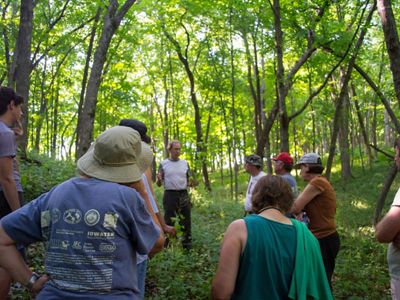 Hikers stop along a forest trail to listen to a hike leader learning about native forest habitats.