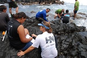 A group of people on a rocky coast record data and look into the water. 