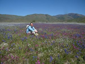 Rebecca Wenk in a field of flowers in 2009.
