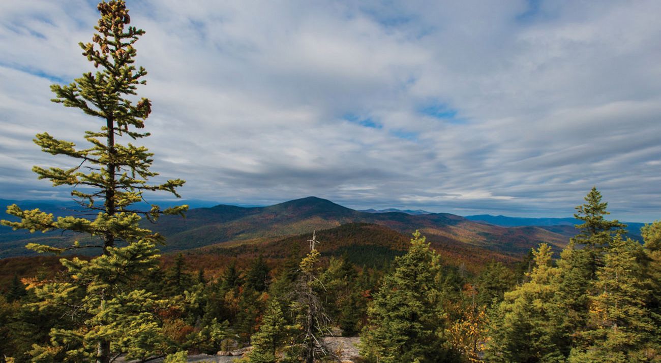 An expansive view of forested hills that span across a mountain valley.