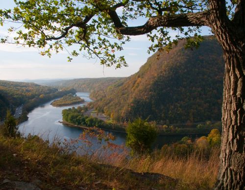 A view from a vista point down to a river winding around a small mountain. A tree trunk sits to the right for the foreground.