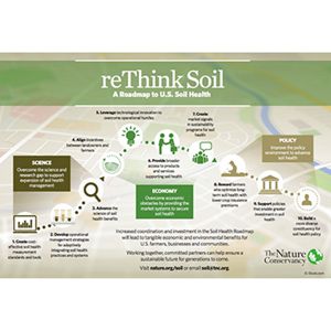 Infographic: reThink Soil Roadmap