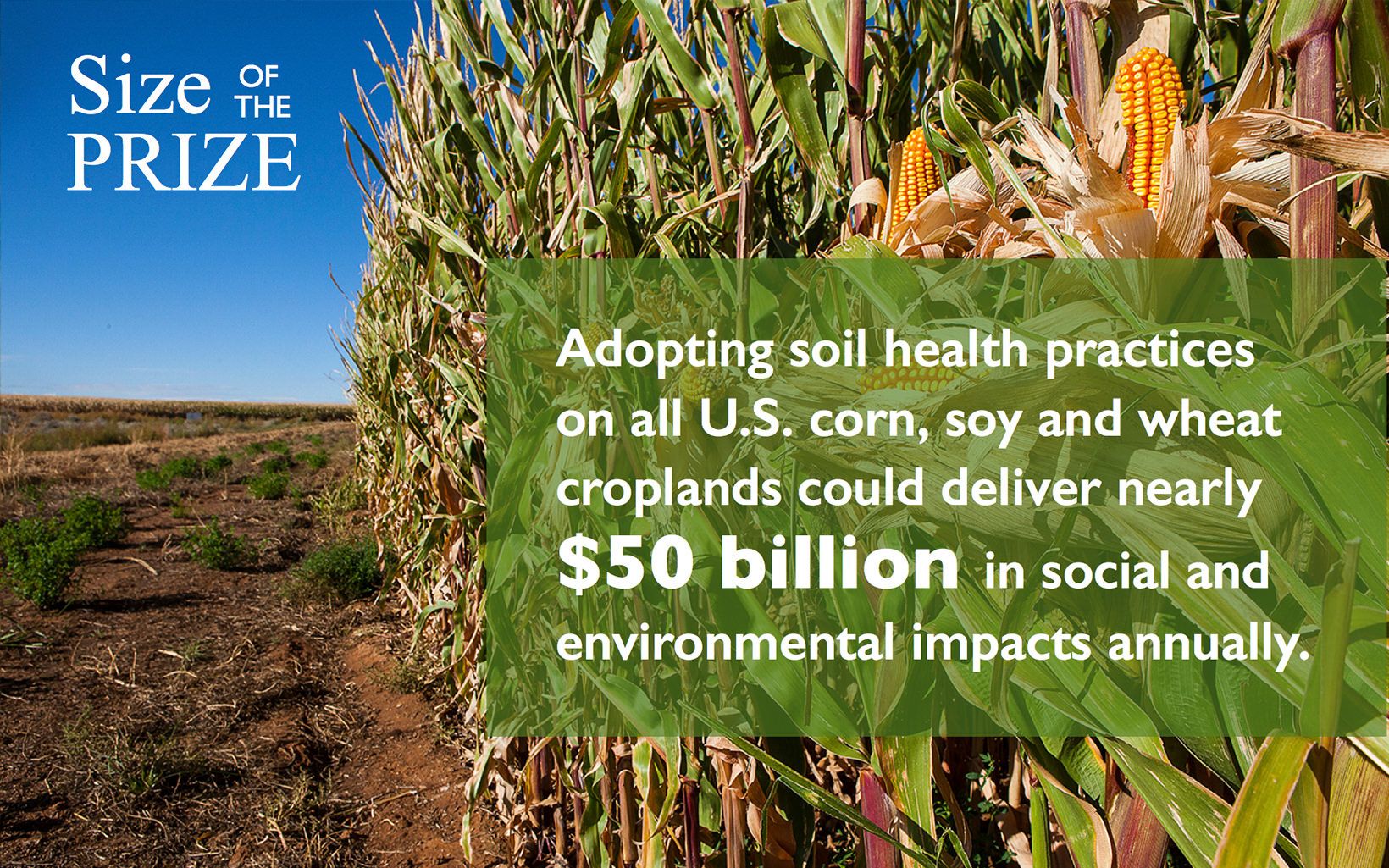 Infographic: reThink Soil Roadmap - Size of the Prize 2