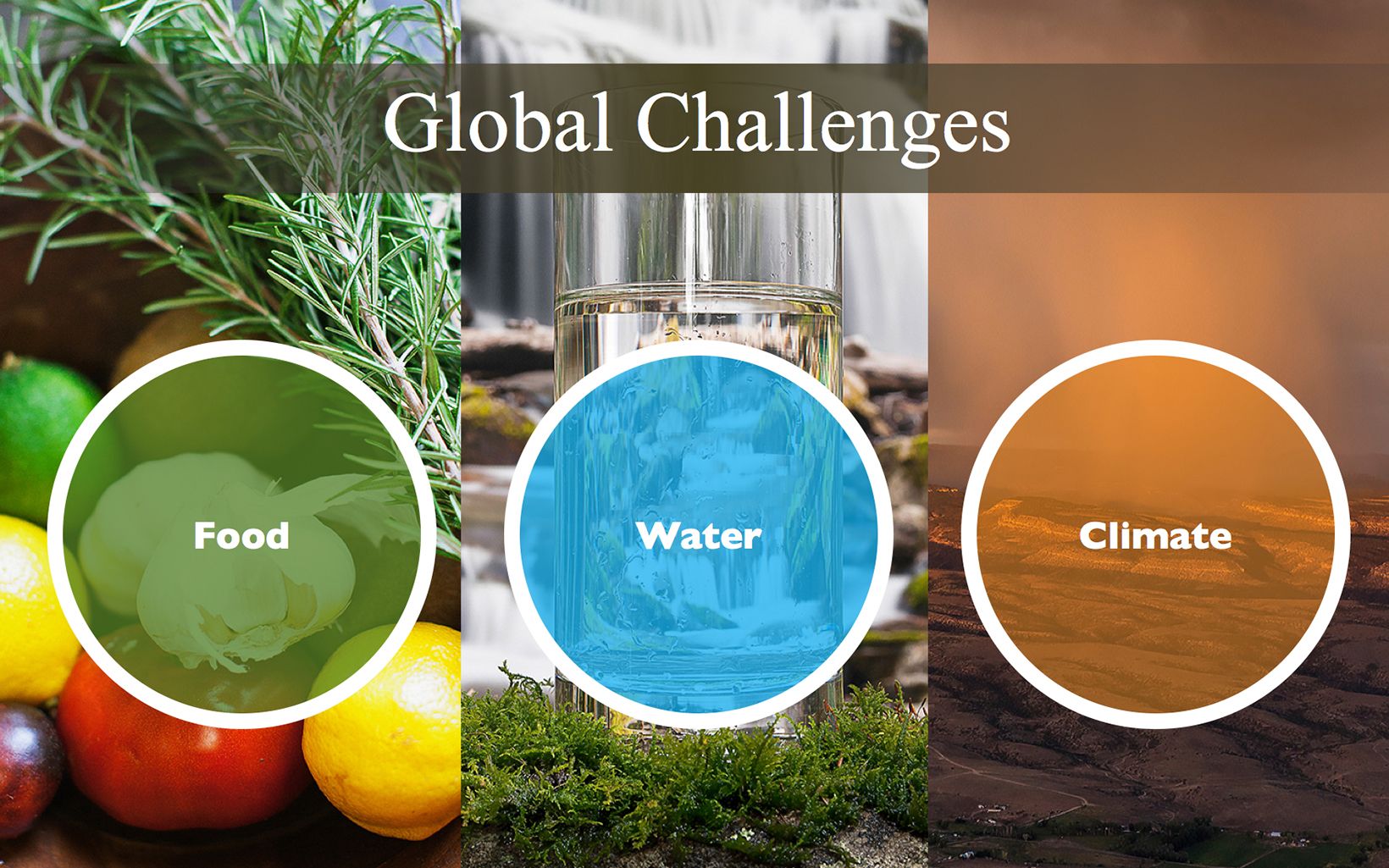 Infographic: reThink Soil Roadmap - Global Challenges