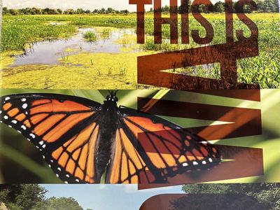 Cover of a This is Iowa newsletter highlighting various habitats found in Iowa.