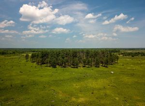 Aerial view of Wells Barrens Preserve.