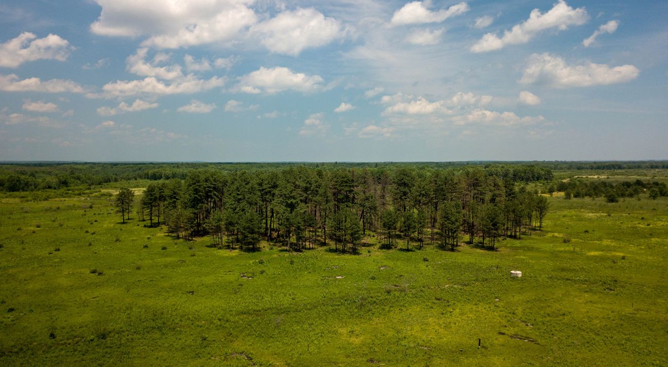 Aerial view of Wells Barrens Preserve