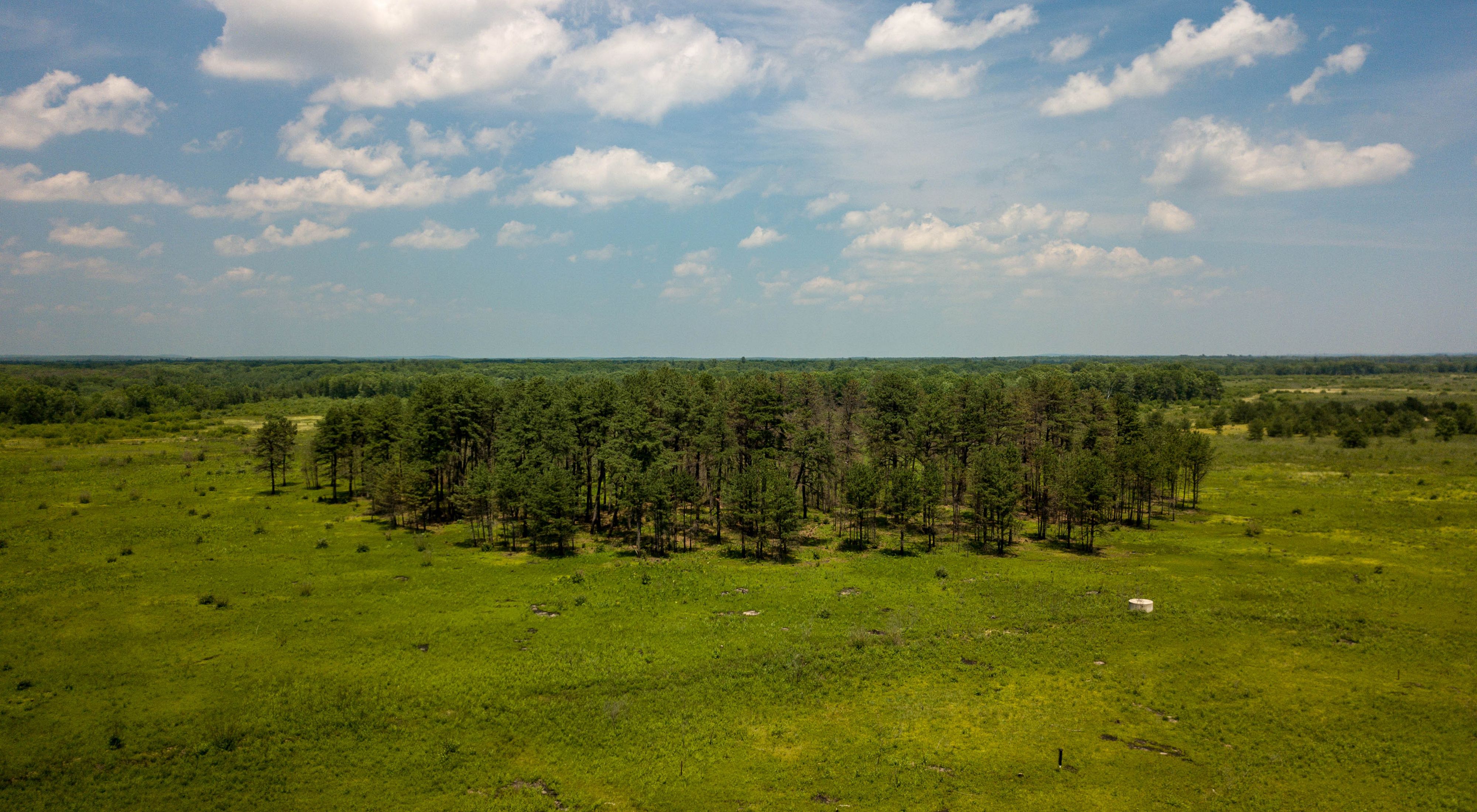 Aerial view of Wells Barrens Preserve