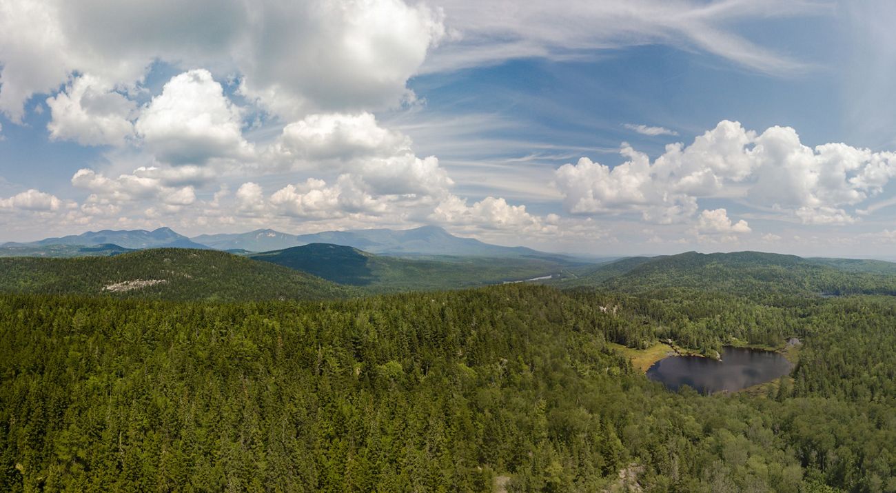 A montage of video showing forests and rivers and ocean.