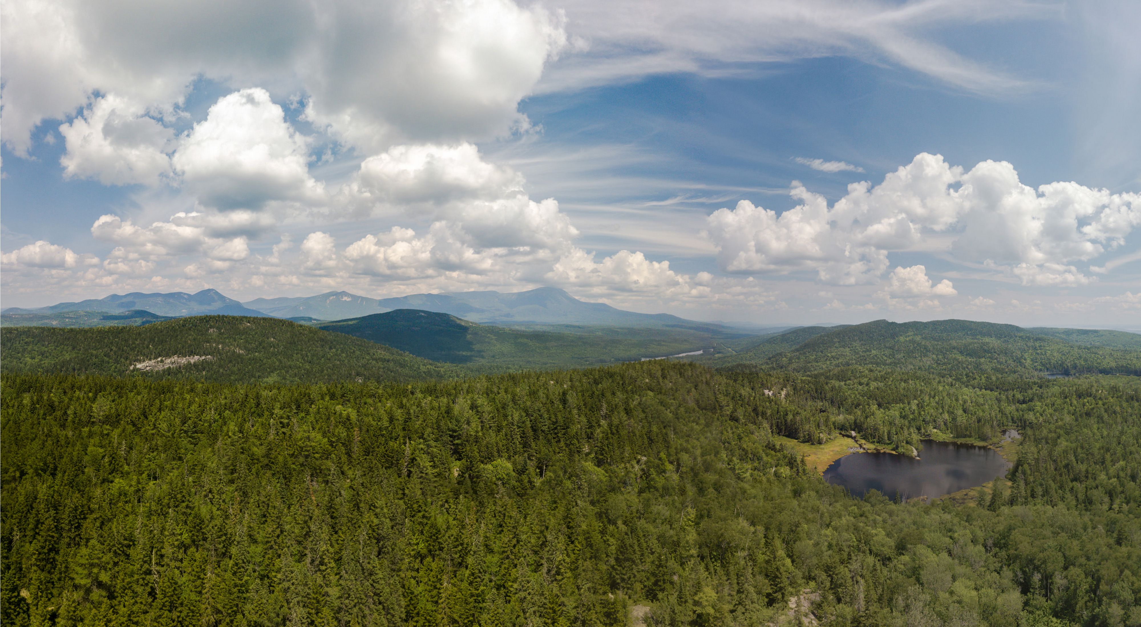 A view of a vast landscape of mountains surrounded by forest.