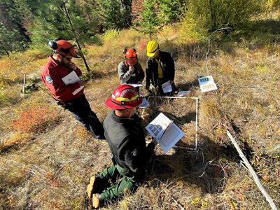 A wildland fire crew of four men measure fuels of grass and sticks in a 1-meter square near San Juan, Colorado.