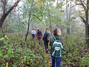 Volunteers walk through the forest at Ives Road Fen.