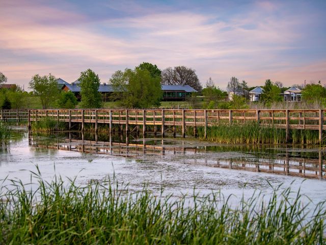 A wooden boardwalk surrounded by plants submerged in water with a few buildings in the background.