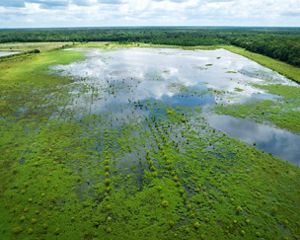 Aerial view of floodplains.