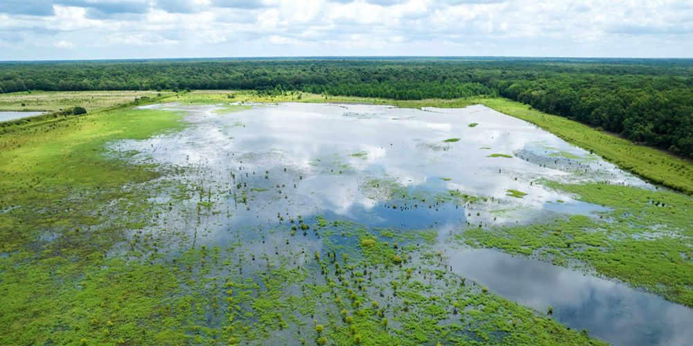 Aerial view of a flooded agricultural field.