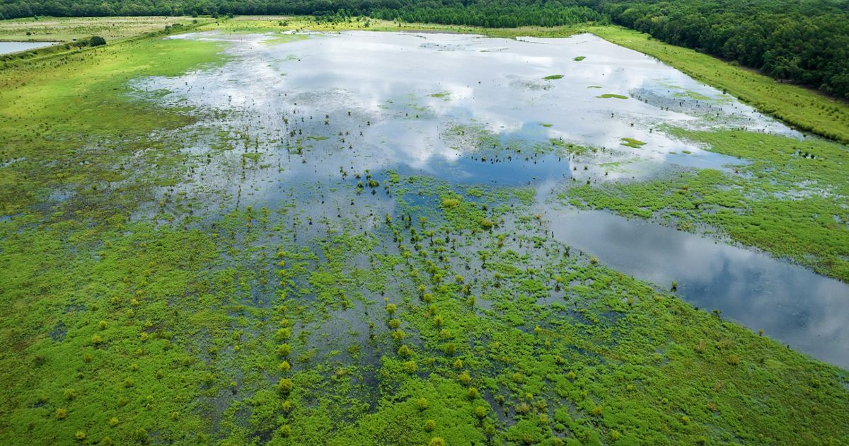 FEMA Accelerates Flood Map Updates to Reflect Climate Change and Development Patterns