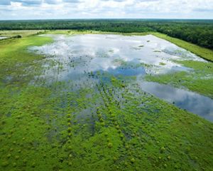 A flooded farm in the Southern Delta region of the United States.