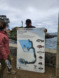 Conociendo el Refugio Marino de Zapallar