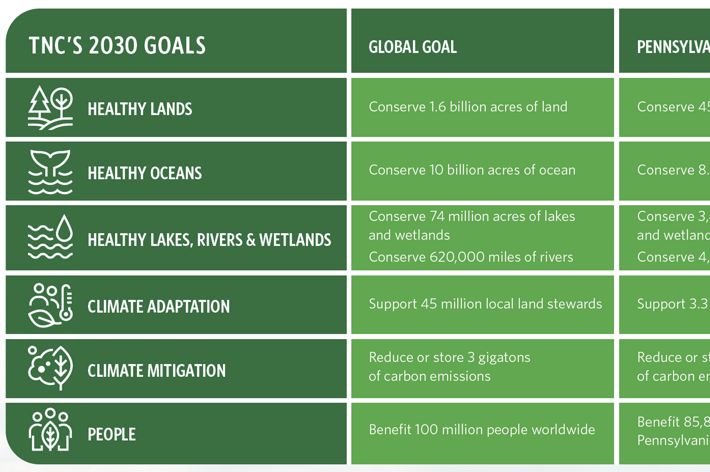 A chart showing TNC's global goals and PA/DE's goals.