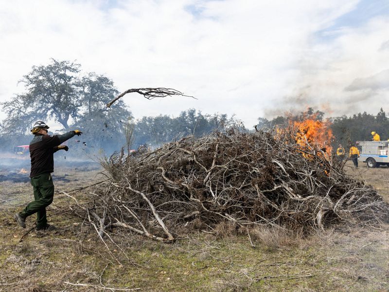 A man throws branches into a pile that is lit on fire.