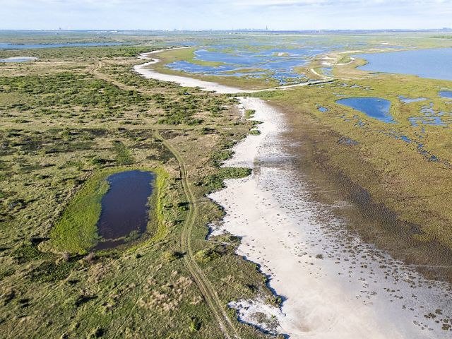 A mosaic of dense green marsh and wetland habitat and blue coastal waters.