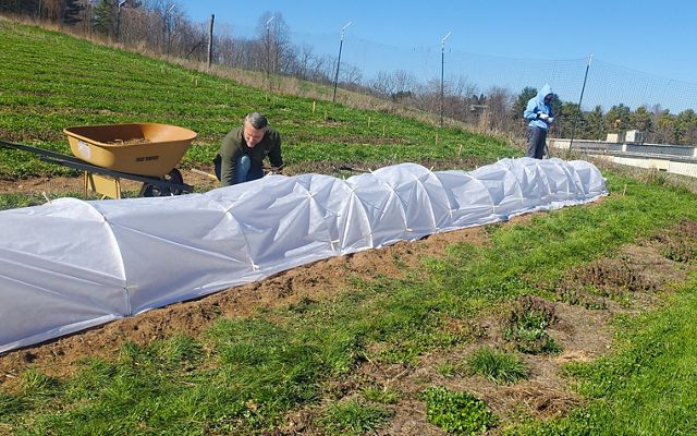 A man working on a covered waterline surrounded by green grass.