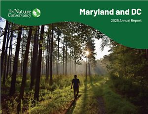  A report cover with the title 2025 Annual Impact Report features a person walking through a forest at sunrise.