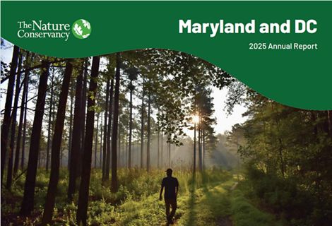 The Nature Conservancy in Maryland and D.C. I The Nature Conserva