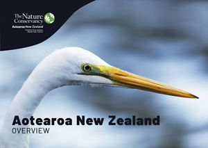 Cover of the 2025 TNC New Zealand overview featuring a photo of a white heron.