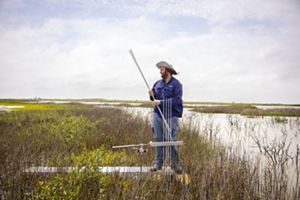 A man holding a metal bar stands in the middle of marsh habitat.