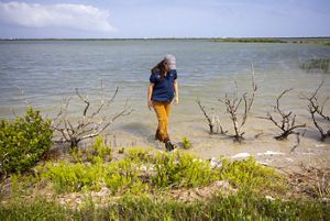 A woman walks along a sandy beach lined with green plants.