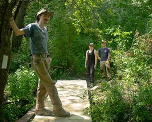 Three people gather around a boardwalk trail in a forest.