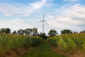 A windmill sits on the horizon behind a farm field. 